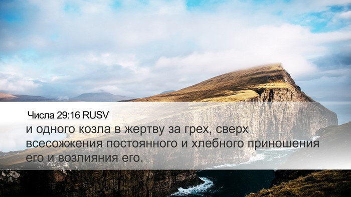 Числа 29:16 RUSV Bible Verse Image