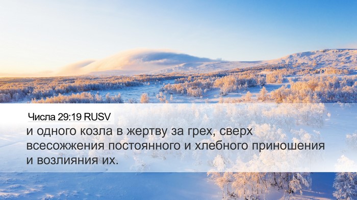 Числа 29:19 RUSV Bible Verse Image