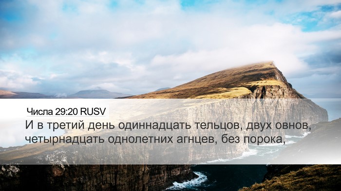 Числа 29:20 RUSV Bible Verse Image