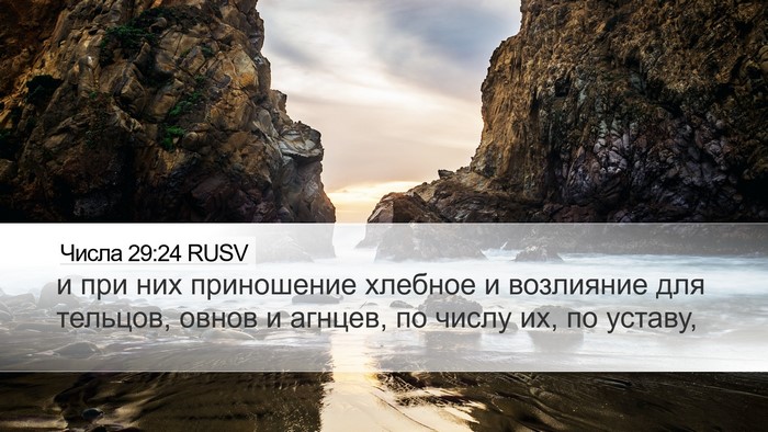 Числа 29:24 RUSV Desktop Wallpaper - и при них приношение - Desktop Bible Verse Wallpaper