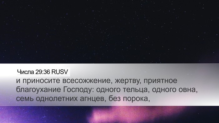 Числа 29:36 RUSV Bible Verse Image