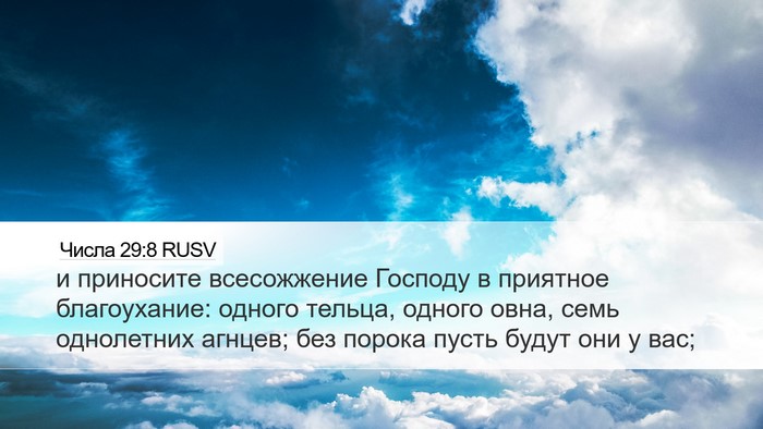 Числа 29:8 RUSV Bible Verse Image