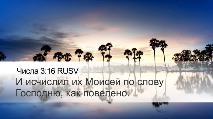 Числа 3:16 RUSV Desktop Wallpaper - И исчислил их Моисей по - Desktop Bible Verse Wallpaper