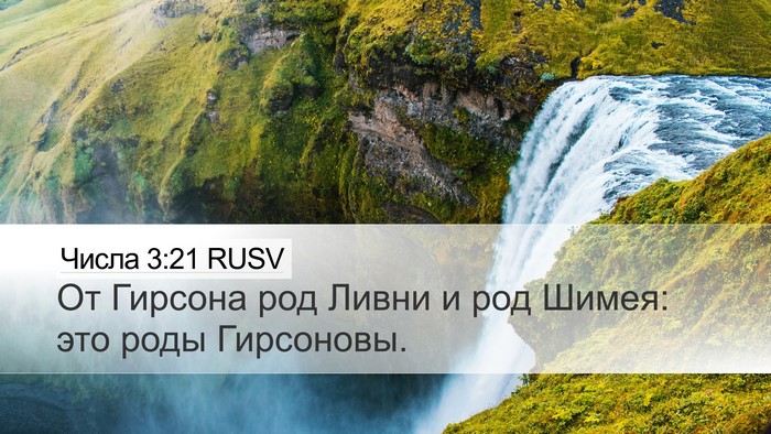 Числа 3:21 RUSV Bible Verse Image
