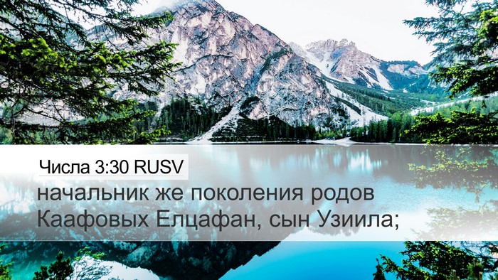 Числа 3:30 RUSV Bible Verse Image