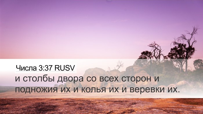 Числа 3:37 RUSV Desktop Wallpaper - и столбы двора со всех - Desktop Bible Verse Wallpaper
