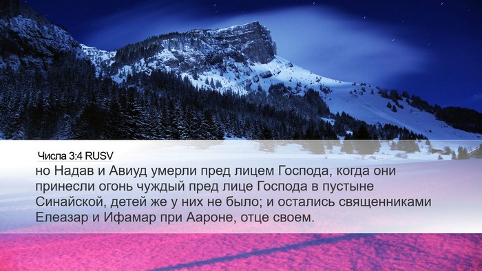 Числа 3:4 RUSV Bible Verse Image