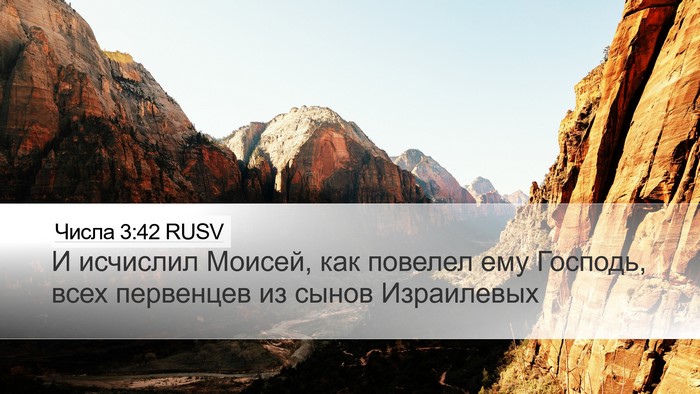 Числа 3:42 RUSV Desktop Wallpaper - И исчислил Моисей, как - Desktop Bible Verse Wallpaper