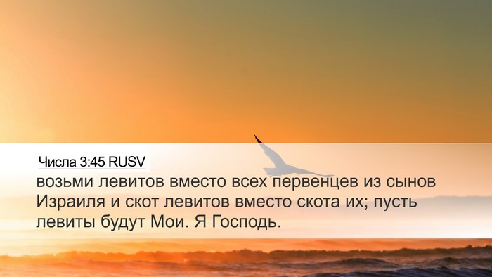 Числа 3:45 RUSV Bible Verse Image