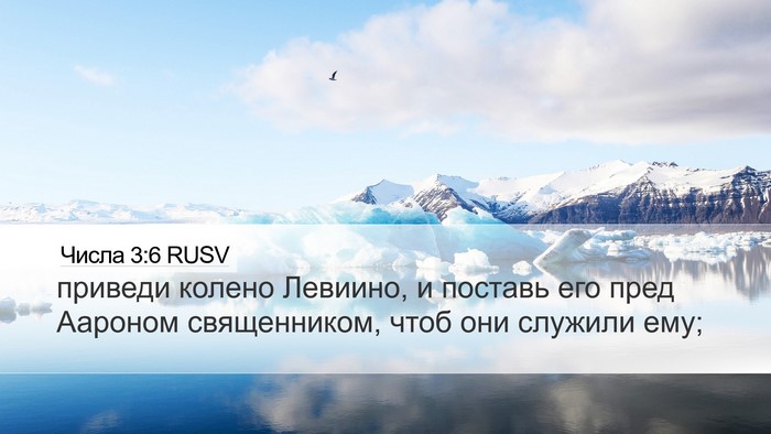 Числа 3:6 RUSV Desktop Wallpaper - приведи колено Левиино, и - Desktop Bible Verse Wallpaper