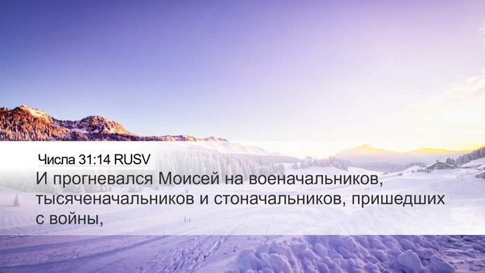 Числа 31:14 RUSV Desktop Wallpaper - И прогневался Моисей на - Desktop Bible Verse Wallpaper