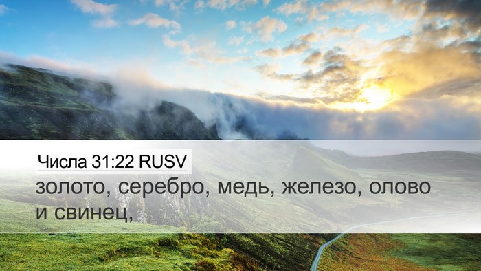 Числа 31:22 RUSV Bible Verse Image