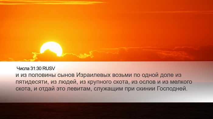 Числа 31:30 RUSV Bible Verse Image