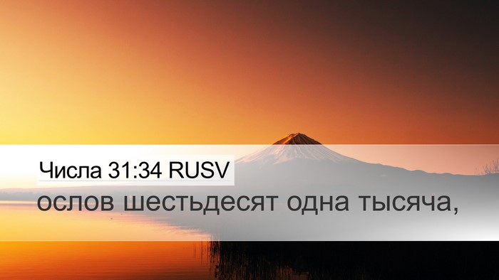 Числа 31:34 RUSV Desktop Wallpaper - ослов шестьдесят одна - Desktop Bible Verse Wallpaper