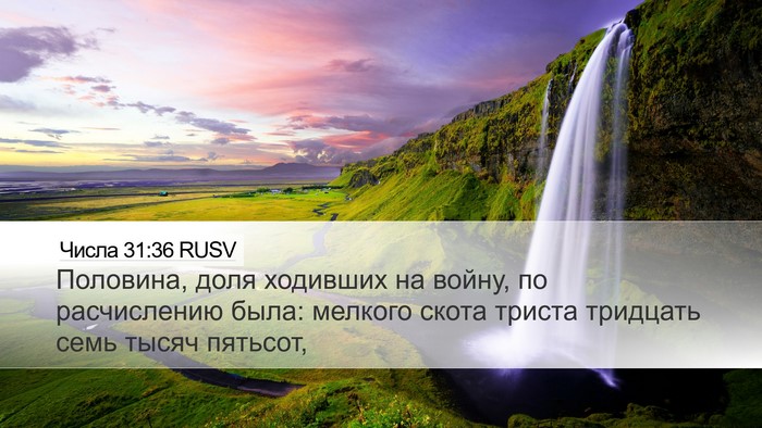 Числа 31:36 RUSV Desktop Wallpaper - Половина, доля ходивших на - Desktop Bible Verse Wallpaper