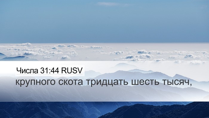 Числа 31:44 RUSV Desktop Wallpaper - крупного скота тридцать - Desktop Bible Verse Wallpaper