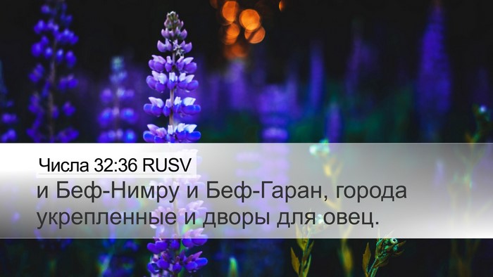 Числа 32:36 RUSV Bible Verse Image