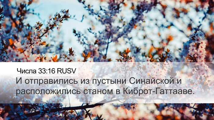 Числа 33:16 RUSV Bible Verse Image
