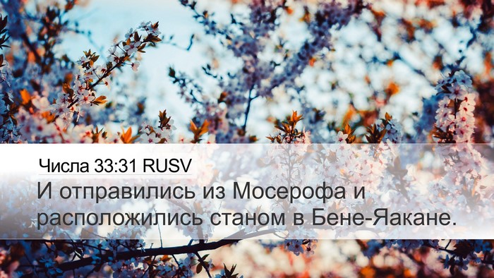 Числа 33:31 RUSV Desktop Wallpaper - И отправились из Мосерофа - Desktop Bible Verse Wallpaper