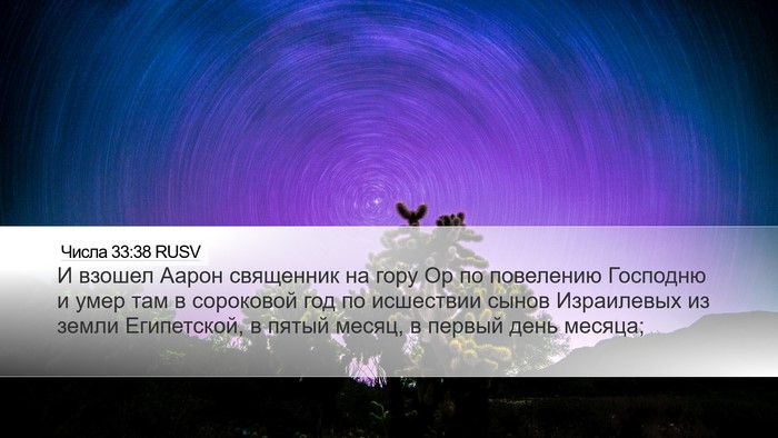 Числа 33:38 RUSV Bible Verse Image