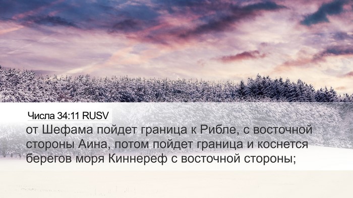 Числа 34:11 RUSV Bible Verse Image
