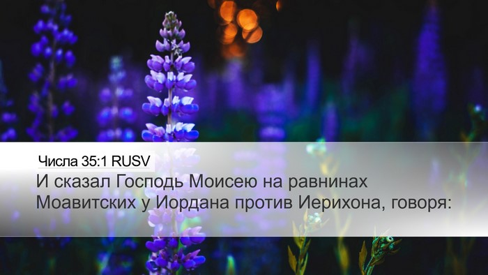 Числа 35:1 RUSV Bible Verse Image