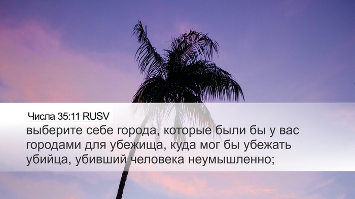 Числа 35:11 RUSV Bible Verse Image