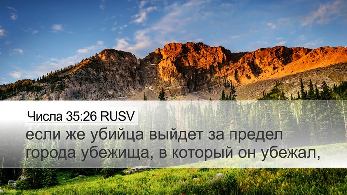 Числа 35:26 RUSV Desktop Wallpaper - если же убийца выйдет за - Desktop Bible Verse Wallpaper