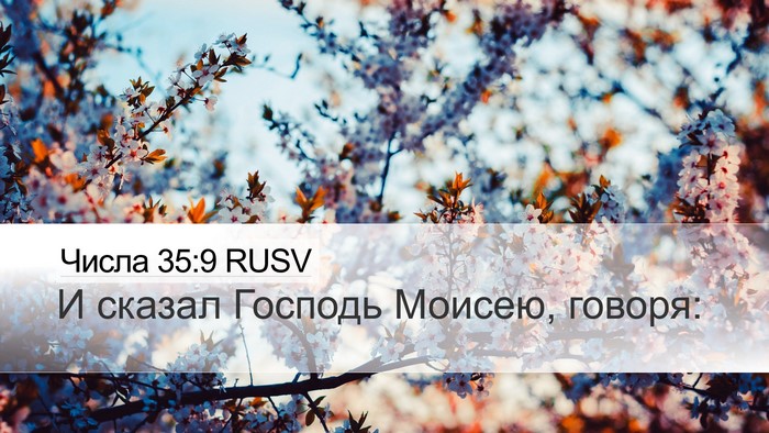 Числа 35:9 RUSV Desktop Wallpaper - И сказал Господь Моисею, - Desktop Bible Verse Wallpaper