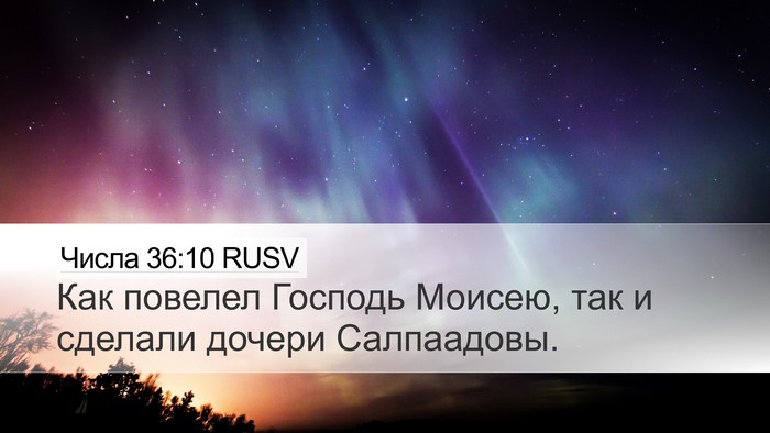 Числа 36:10 RUSV Bible Verse Image