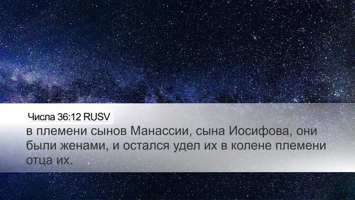Числа 36:12 RUSV Bible Verse Image