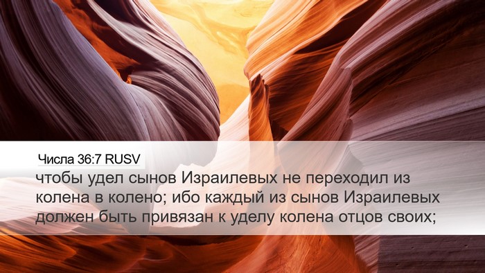 Числа 36:7 RUSV Desktop Wallpaper - чтобы удел сынов - Desktop Bible Verse Wallpaper
