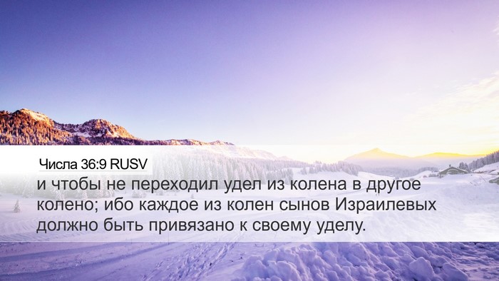 Числа 36:9 RUSV Bible Verse Image