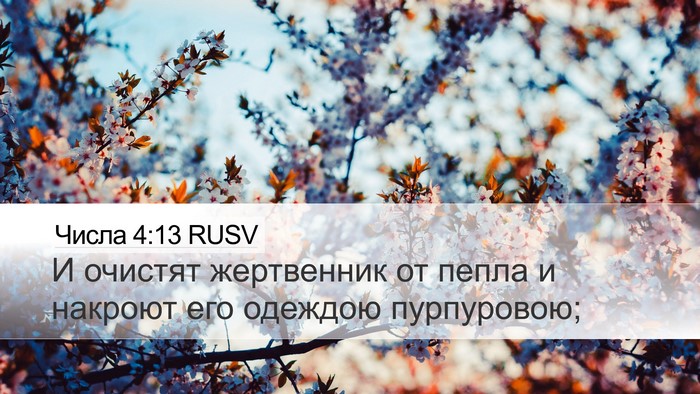 Числа 4:13 RUSV Bible Verse Image