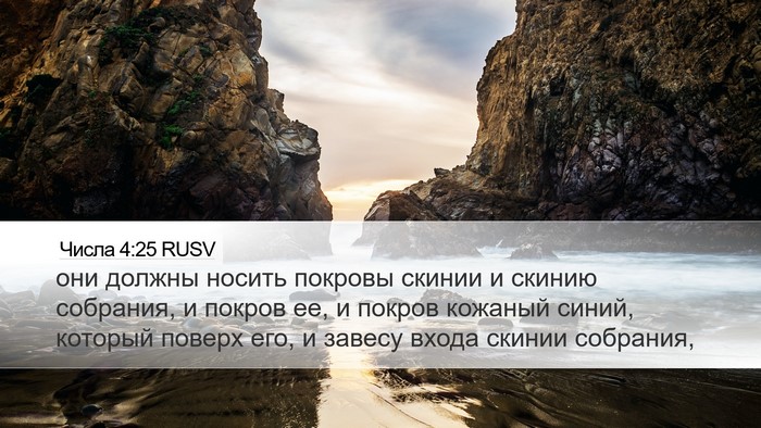 Числа 4:25 RUSV Desktop Wallpaper - они должны носить покровы - Desktop Bible Verse Wallpaper