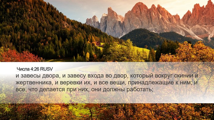 Числа 4:26 RUSV Desktop Wallpaper - и завесы двора, и завесу - Desktop Bible Verse Wallpaper