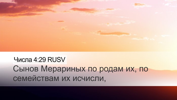 Числа 4:29 RUSV Bible Verse Image