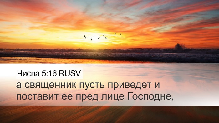 Числа 5:16 RUSV Desktop Wallpaper - а священник пусть приведет - Desktop Bible Verse Wallpaper
