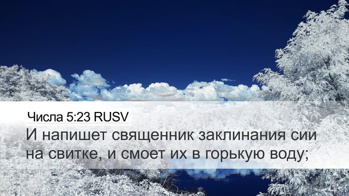 Числа 5:23 RUSV Desktop Wallpaper - И напишет священник - Desktop Bible Verse Wallpaper