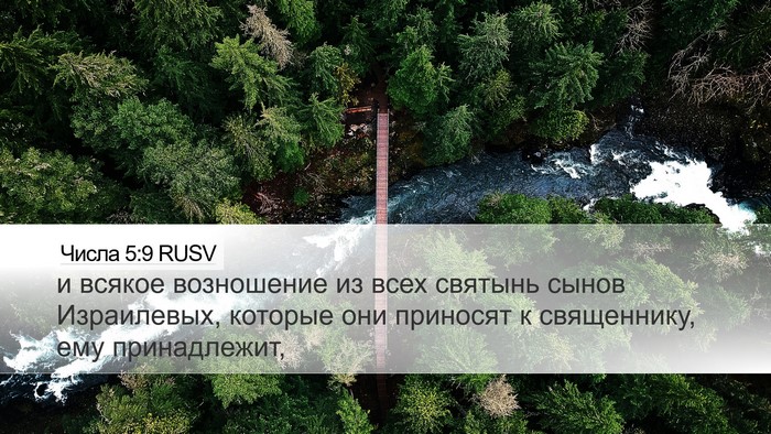 Числа 5:9 RUSV Bible Verse Image