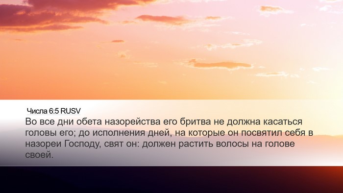 Числа 6:5 RUSV Bible Verse Image