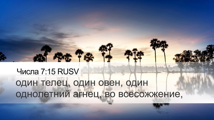 Числа 7:15 RUSV Desktop Wallpaper - один телец, один овен, один - Desktop Bible Verse Wallpaper