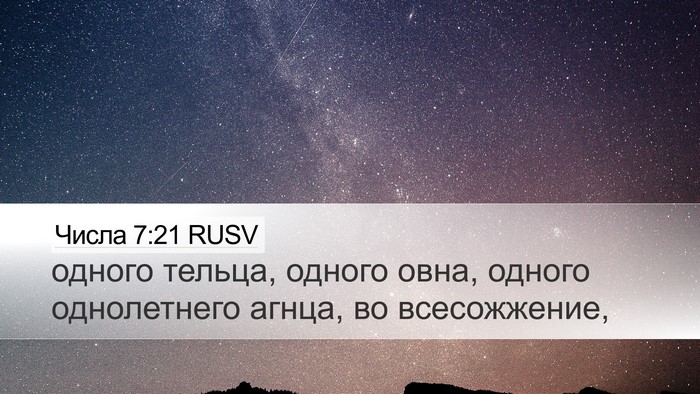 Числа 7:21 RUSV Desktop Wallpaper - одного тельца, одного овна, - Desktop Bible Verse Wallpaper