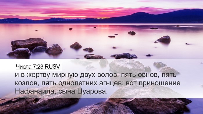 Числа 7:23 RUSV Bible Verse Image