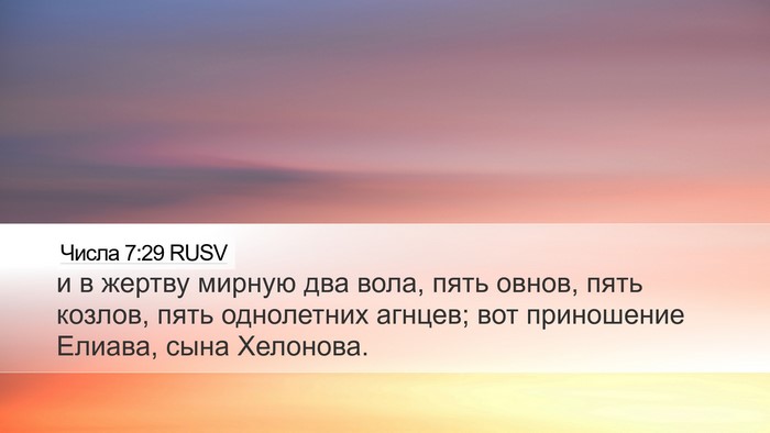 Числа 7:29 RUSV Desktop Wallpaper - и в жертву мирную два вола, - Desktop Bible Verse Wallpaper