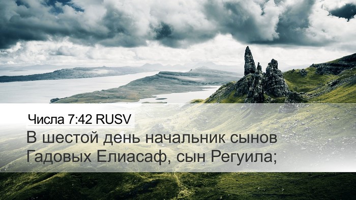 Числа 7:42 RUSV Bible Verse Image
