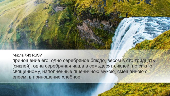 Числа 7:43 RUSV Desktop Wallpaper - приношение его: одно - Desktop Bible Verse Wallpaper