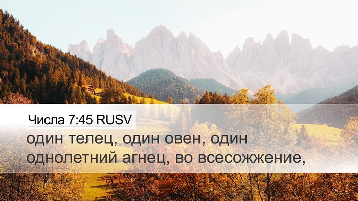 Числа 7:45 RUSV Desktop Wallpaper - один телец, один овен, один - Desktop Bible Verse Wallpaper