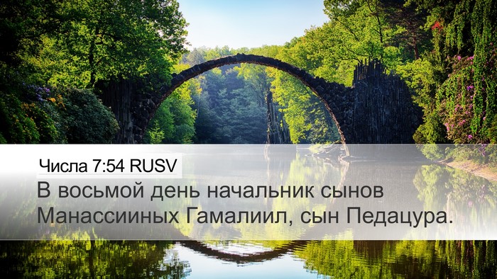 Числа 7:54 RUSV Desktop Wallpaper - В восьмой день начальник - Desktop Bible Verse Wallpaper