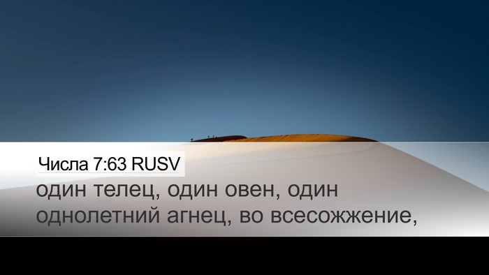 Числа 7:63 RUSV Desktop Wallpaper - один телец, один овен, один - Desktop Bible Verse Wallpaper